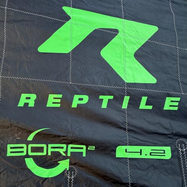 reptile bora 4.2 usato dati