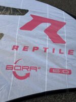 reptile bora 5.0 usato dati
